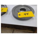 (2) 5 lb. Weights...