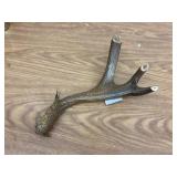 Deer antler cribbage board