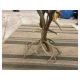 Authentic Antler deer base with etched glass top