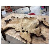 Bear skin