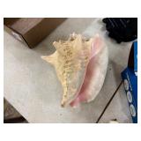 Assorted lot including antlers and seashell