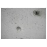 Vintage Pressure Cooker