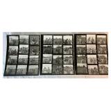 Vintage Minnesota Vikings Football Extravaganza Vintage Minnesota Vikings Football Extravaganza