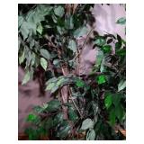 (2) 6' Artificial Trees in Metal Pots