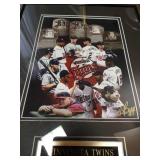 Minnesota Twins Picture