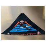 Harley-Davidson Bandana Set - Assorted Logo Bandanas on Black Fabric
