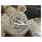 Quarry Critters Trick & Treat Turtle Figurines - Second Nature Design, Assorted Resin Miniatures