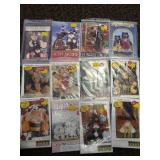 Animal Faux Furs & Patterns