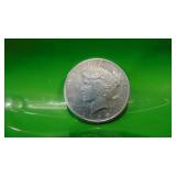 1925 Peace Silver Dollar