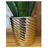 LR - Snake Plant Sansevieria Trifasciata In Gold Ribbed Planter