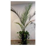 LL - Live Indoor Palm with Pothos in Black Planter