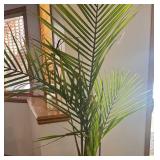 LL - Palm Plant in Tall Black Planter