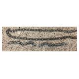 Chain and Load Binder Bundle