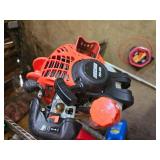 Echo Weed Whip and Edger