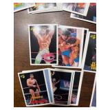 Vintage WWE Wrestling Trading Cards Featuring Legendary Wrestlers