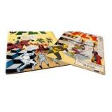 Adventures of The Fly #16 & #24