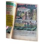 Ghost Manor - Charlton Comics - #17, #56, #62