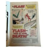 The Flash - Collection of 10 DC Comics - #226, #227, #228, #234, #251, #254, #255, #308, #309, #314