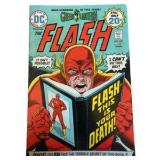 The Flash - Collection of 10 DC Comics - #226, #227, #228, #234, #251, #254, #255, #308, #309, #314