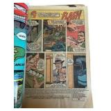 The Flash - Collection of 10 DC Comics - #226, #227, #228, #234, #251, #254, #255, #308, #309, #314