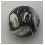 2" 5.7 Oz. Oyster Shell Fossil And Quartz Sphere/Large Marble