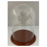 Glass Display Domes With Wooden Bases 1= 9"x 6 1/2" 1= 11" x 9" (Great For Taxidermy Or Mounted Butterflies)