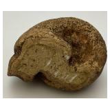 Misc. Garden Décor Including Halloween And More