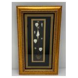 Misc. Items Framed Behind Glass