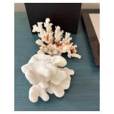 White Hand Sculpture on Black Base with Coral Accents and Display Mirror Frame