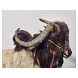 Brahma Bull Miniature Taxidermy Second
