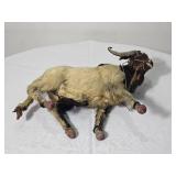 Brahma Bull Miniature Taxidermy Second