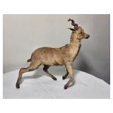 Impala Miniature Taxidermy
