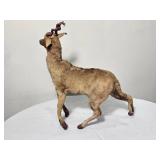 Impala Miniature Taxidermy