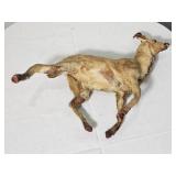 Impala Miniature Taxidermy