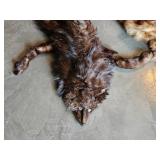 Vintage Fur Pelt Stole Collection