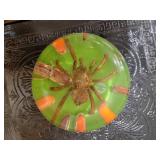 Lucite Venezuelan Tarantula Spider Bug Specimen