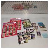 Sports Card & Memorabilia Lot — Football Hall of Fame Insider Programs, Vintage NFL Cards, Herbie Brooks Book, Inserts & Collectibles