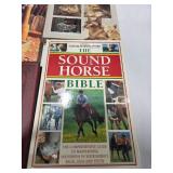 Hardcover Book Lot Dragons Mystery Puzzle Carving Patterns Cats Owls Horse Guide