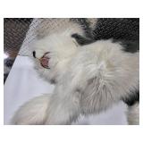 Huge Realistic Sheepdog Plush Oversized Shaggy Dog Stuffed Animal 3+ Ft