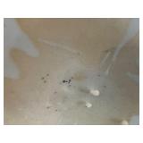 Collectible Ceramic Ginger Jar Blue and White Lid Topped with Lion Finial "Fu Dog" or Temple Dog