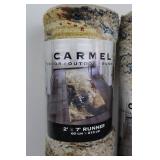 Carmel Indoor/Outdoor Runner Rug 2