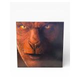 John Fogerty Eye of the Zombie - Eye of the Zombie (Lot of 5)