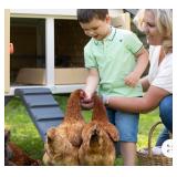 Smoby New - PC196 My First Chicken Coop