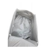 First Class Carry On Bag with Wheels (in good condition)