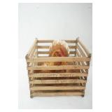 Taxidermied Chicken and Vintage Wooden Crate