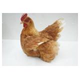 Taxidermied Chicken and Vintage Wooden Crate