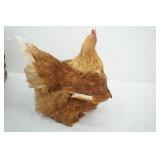Taxidermied Chicken and Vintage Wooden Crate