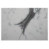 framed batik print by Marnie Dahl 18"square. signed, numbered 189/1400