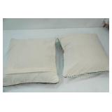 Throw Pillow Set (zip-off covers)