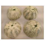 Four Zebra Branded Cantaloupe Bowls